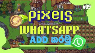 Reputation Points වැඩි කරගමු | Market Place unlock part 05 | Web3 Game | Pixels Sinhala