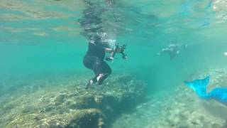 A Mermaid Photo Shoot at Little River Springs