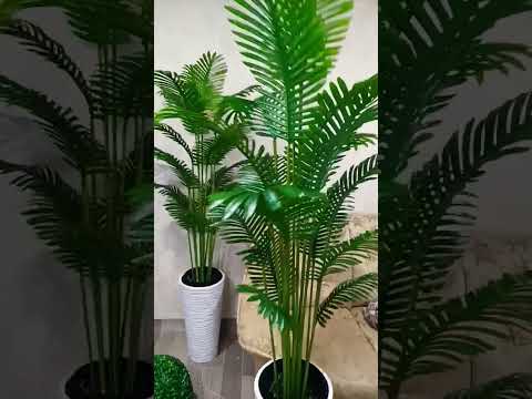 Бюджетные искусственные пальмы