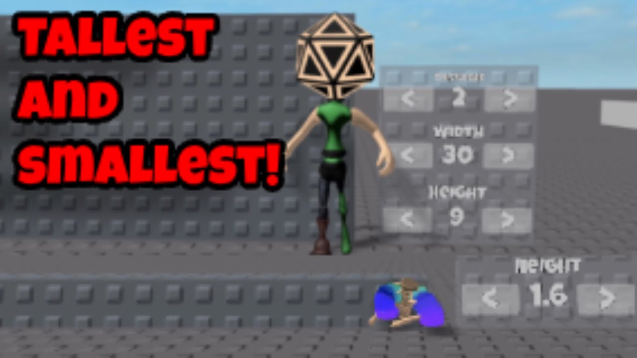 Biggest and Smallest Roblox Avatar : u/Evan250250