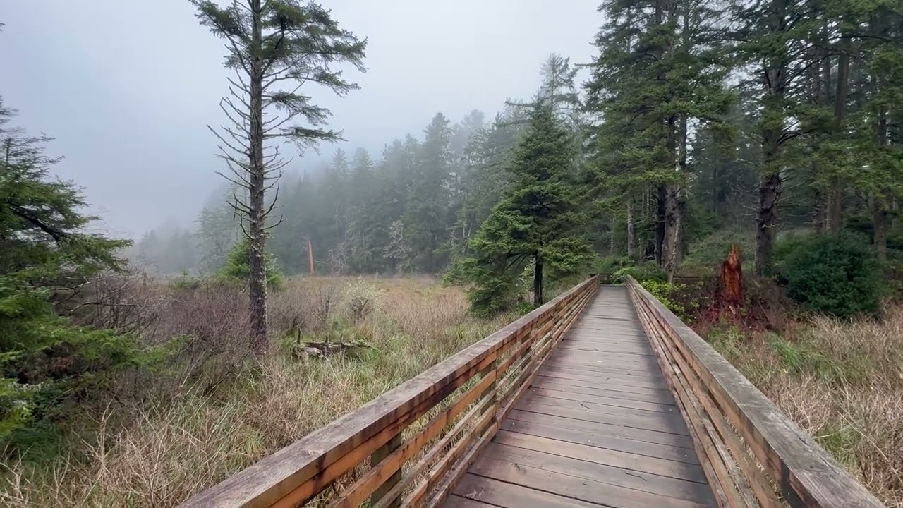 Discovery Trail to Beards Hollow Trail Cape Disappointment State Park 