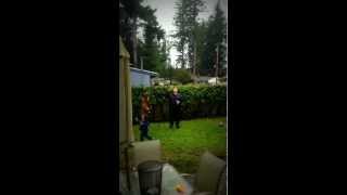 Crazy Pitbull Puppy Attacks...Bubbles
