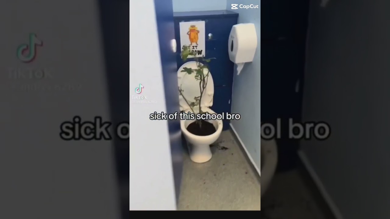 let it grow toilet meme 