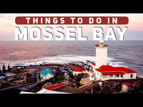 Things to do in Mossel Bay | South Africa