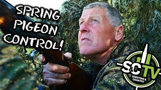 S&C TV | Andy Crow 17 | Spring pigeon control!