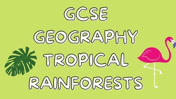 Tropical Rainforests | GCSE GEOGRAPHY