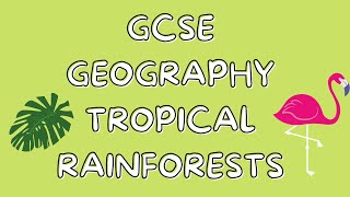 Tropical Rainforests | GCSE GEOGRAPHY