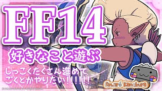 【🦐 FF14 / 漆黒編🦀 】ご婦人に会いに行く！！！ ( ˊ̱˂˃ˋ̱ )【 FINAL FANTASY XIV 】 Vtuber 初心者