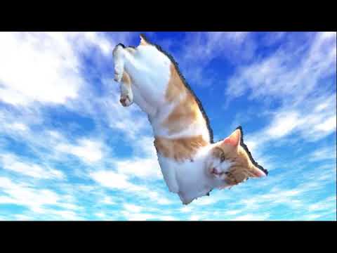 空飛ぶ猫1 Youtube 空飛ぶ猫1 Youtube