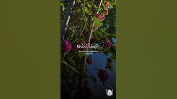 كلا إذا بلغت التراقي #آيات #اكسبلور #المصحف #القرآن_الكريم#الرحمن#الدنيا