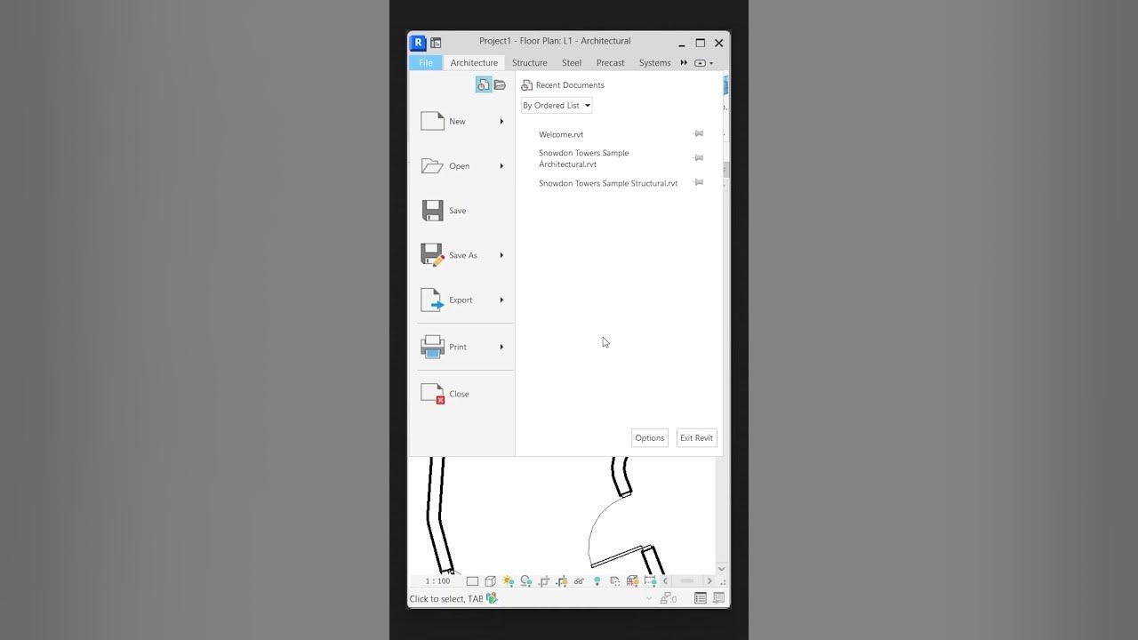 Autodesk Revit 2024 For Architecture revit architecture YouTube