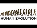 Human evolution animation