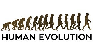 Miniatura del video "Human Evolution Animation."