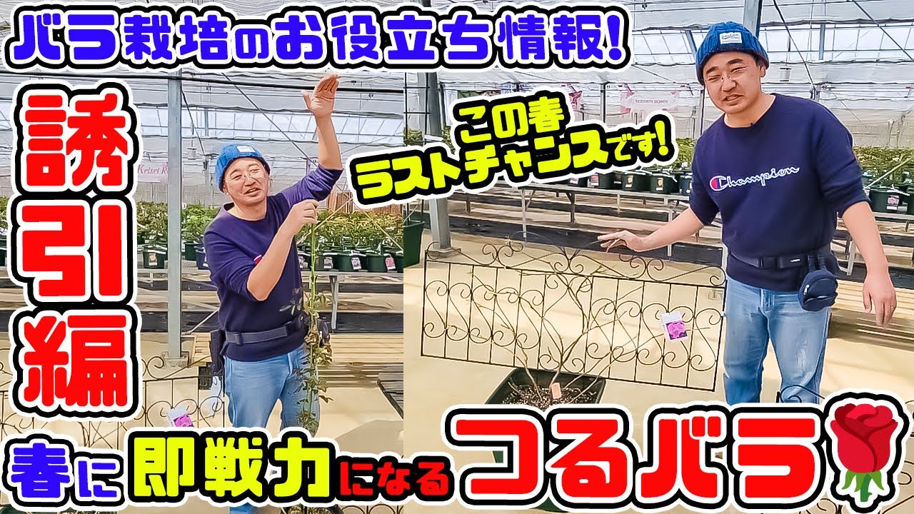 鉄緑会 高2教材 バラ売り不可 2026年最新】鉄緑会 高2 数学 問題集 解説の人気アイテム - メルカリ
