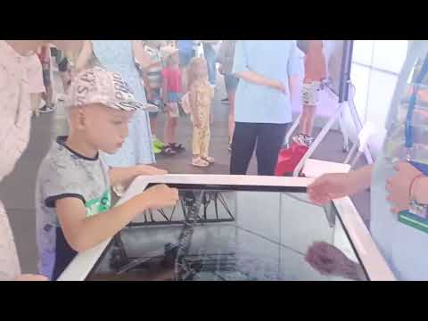 Развлечения и отдых .Москва.Лужники .Форум 2.