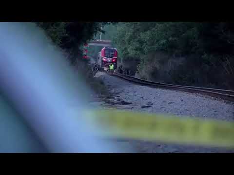 Video: BREAKING NEWS - Amtrak utökar husdjursprogram över hela landet