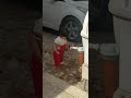 يزينو مارشملو