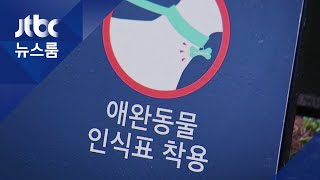 "인식표 누가 달고 다니나"…'반려견 등록' 단속 따라가보니