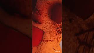 HELLO NEIGHBOR: CREEPY MOD 😐😐💀 #shorts