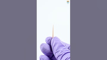 Waldent Gutta Percha Points Protaper (Length Marked) - Precision for Root Canal Treatments