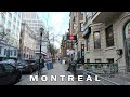 Walking in Downtown Montreal near Concordia University (Simpson, Mackay, Bishop, Redpath)