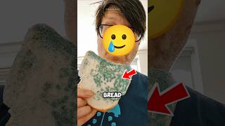 Can You Eat Moldy Bread? 🍞