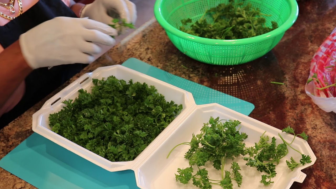 BBQ Turn In Box Construction-Part 3 Parsley by Sylvie Curry, Lady of Q ...