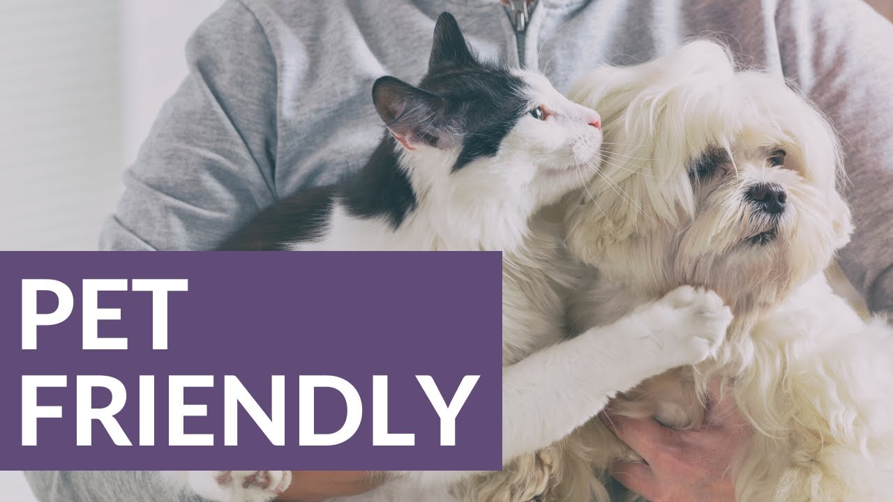 trending Pet Restrictions