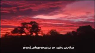 Cage The Elephant - Cigarette Daydreams (LEGENDADO/TRADUÇÃO)