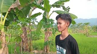DRAMA SUNDA (SI KABAYAN NEANGAN RESTU)  #dramasunda #sikabayan #ma_miftahul_huda