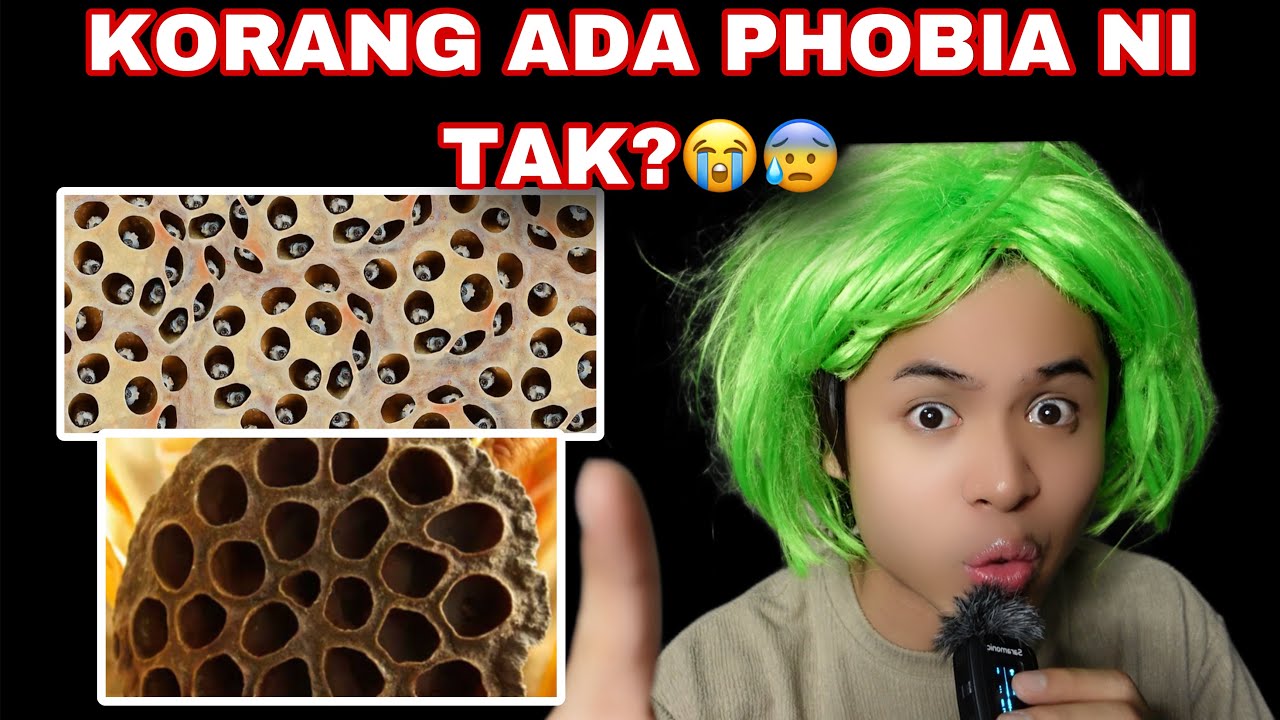 AKU ADA BANYAK PHOBIA😭😰| JOM TEST PHOBIA SAMA-SAMA😰