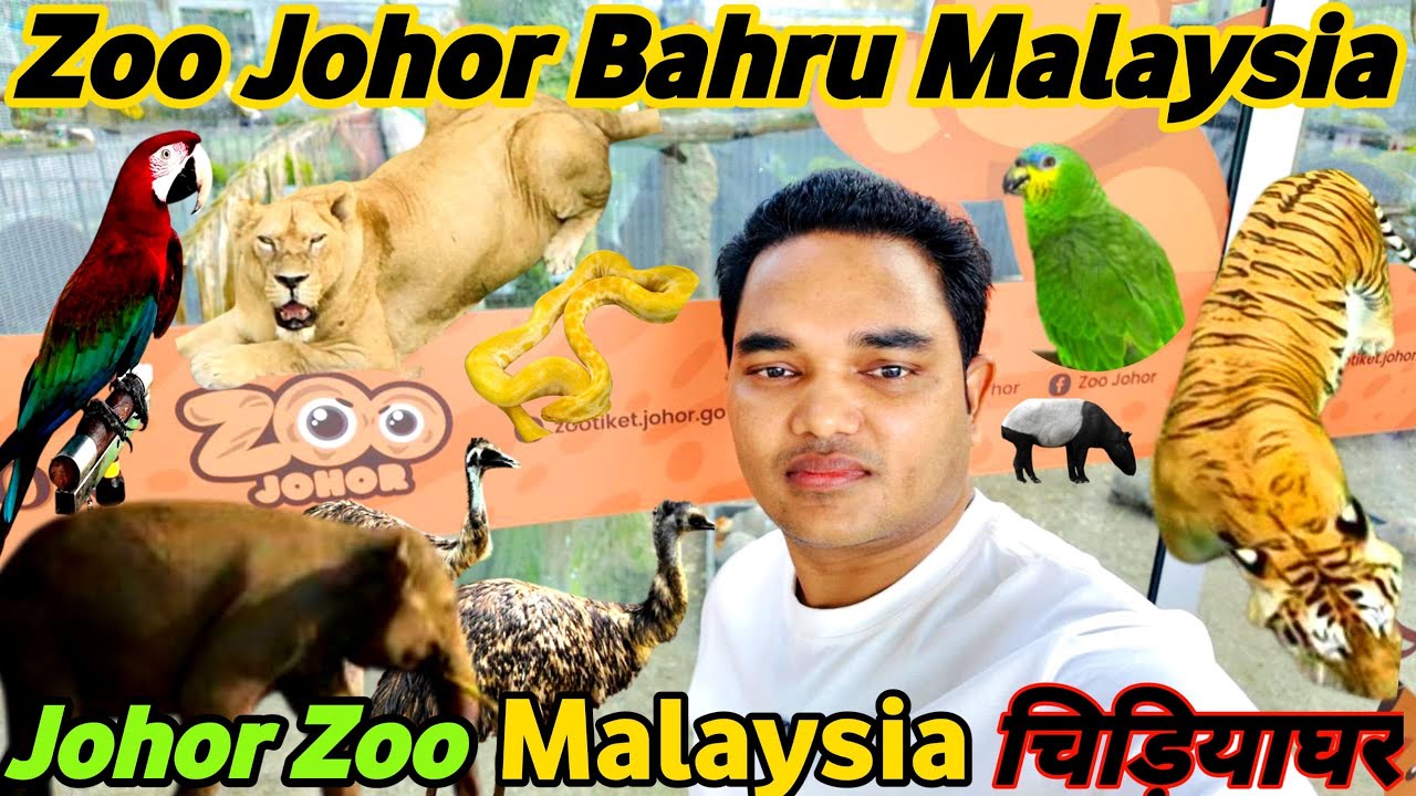 🦁 Zoo Johor Bahru Malaysia Vlog | Johor Zoo Malaysia चिड़ियाघर 🇲🇾