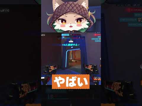 多分相手も思ってる #overwatch #オーバーウォッチ