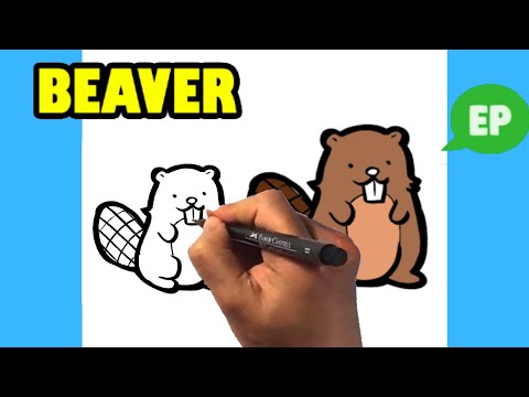 Video: How To Draw A Beaver