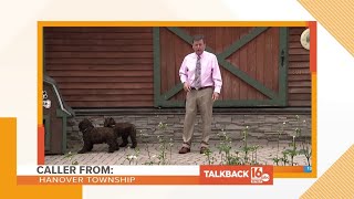 Pet Slideshow, commercials, Newswatch 16 team | Talkback 16