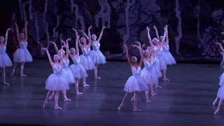 NYC Ballet's Laine Habony on Peter Martins’ SWAN LAKE: Anatomy of a Dance