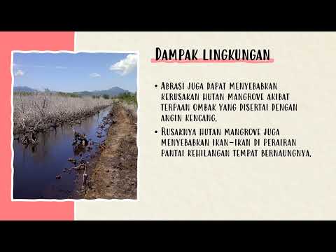 Dampak dan Upaya Pencegahan Abrasi Pantai