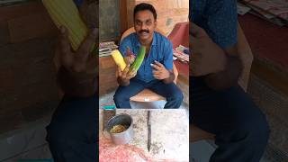 Summer Soaked Food for Parrot's 🦜| VinVin Bird's | Tamil | VV's
