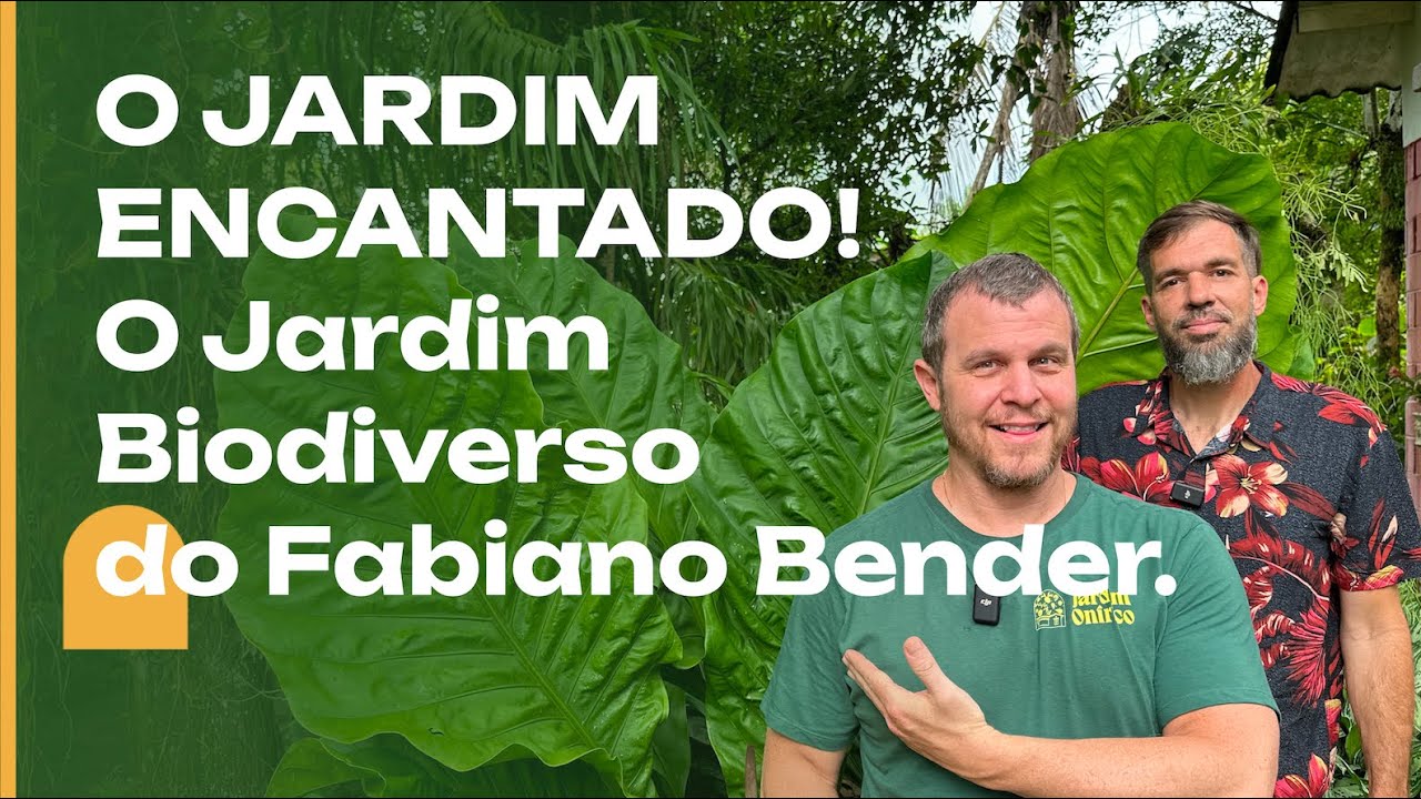 O JARDIM ENCANTADO do Fabiano Bender: Jardim BioDiverso.