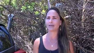Maui police searching for suspect after woman molested in sleep