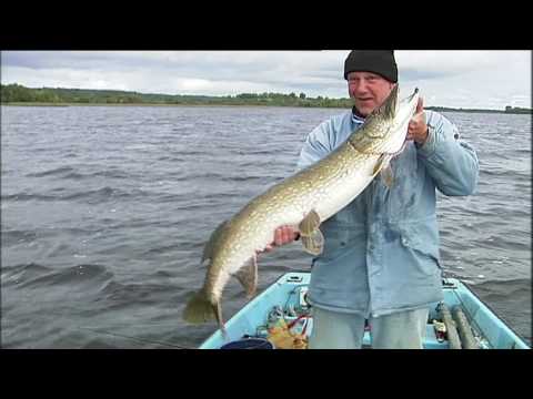 Pike Fishing Ireland on Lough Derg with Rick Zever...