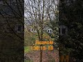 8.11.2025. Nabburg