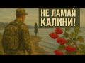 Не ламай калини Пісня з надривом душі Українська народна балада про кохання і війну Не ламай калини Пісня з надривом душі Українська народна балада про кохання і війну