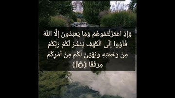 القرآن الكريم سورة الكهف صفحة 295