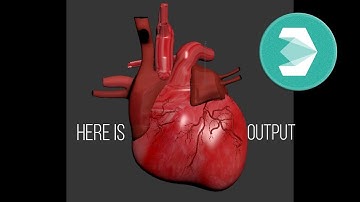 Animated Human Heart in 3ds max