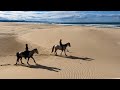 Horseback Riding Jeffreys Bay South Africa