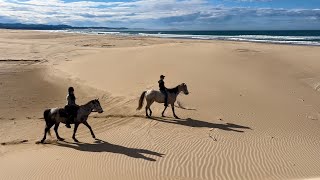 Horseback Riding Jeffreys Bay South Africa