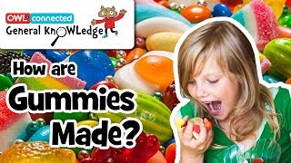 How are gummy candies made? | General KnOWLedge