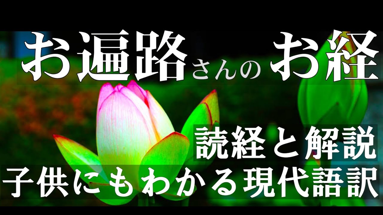 【四国お遍路さんのお経】子どもにもわかる現代語訳 「読経と解説」 お遍路さんは、なぜお経を唱えるのでしょうか?