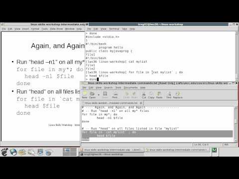 For Loops in Bash -  LSW Intermediate - UNCC Engineering